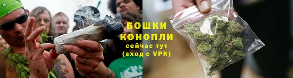 гидропоника Пестово