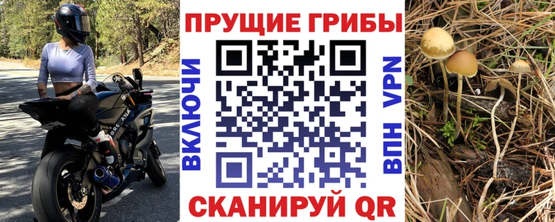 Галлюциногенные грибы ЛСД  Пикалёво 