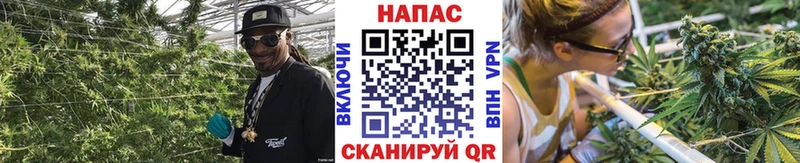 Бошки Шишки SATIVA & INDICA  купить закладку  Пикалёво 